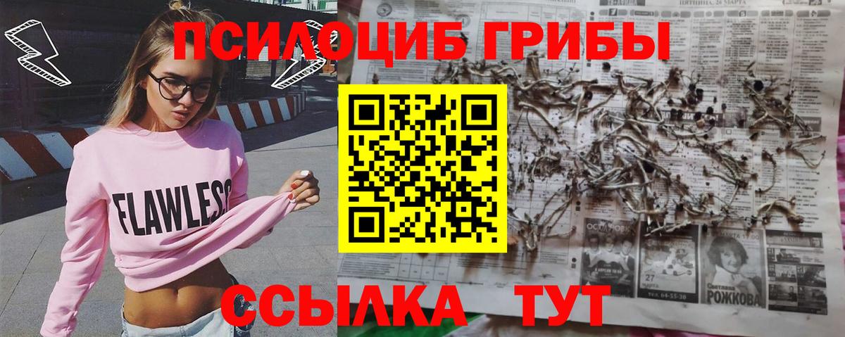 Алексин  Галлюциногенные грибы прущие грибы  Вход с VPN  Галлюциногенные грибы Psilocybe 